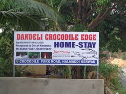 Dandeli Crocodile Edge Home Stay
